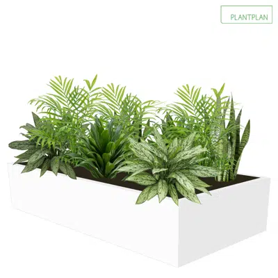 Cabinet Top Trough - Mixed Live Planting - 1000mm x 500mm x 200mm için görüntü