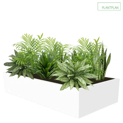 bilde for Cabinet Top Trough - Mixed Live Planting - 1000mm x 500mm x 200mm