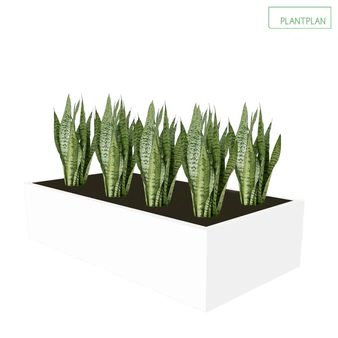 BIM objects - Free download! Cabinet Top Trough - Sansevieria Planting ...