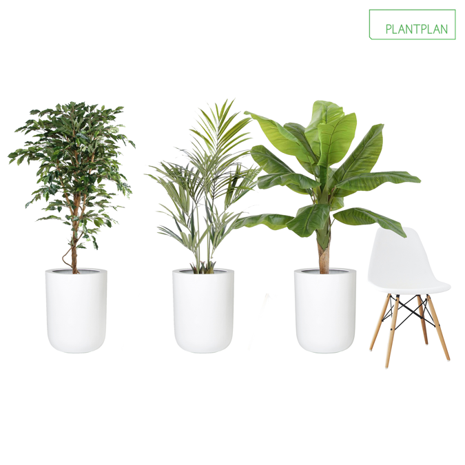3 x White Gloss Planters - Mixed Replica Planting - 1600mm