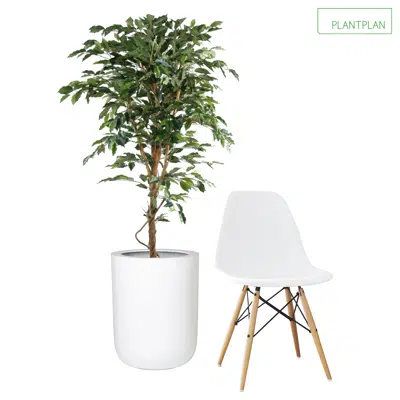 รูปภาพสำหรับ 1 x White Gloss Planter - Replica Ficus Tree - 1500mm