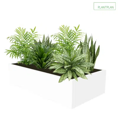 Image for Cabinet Top Trough - Mixed Live Planting - 800mm x 400mm x 200mm