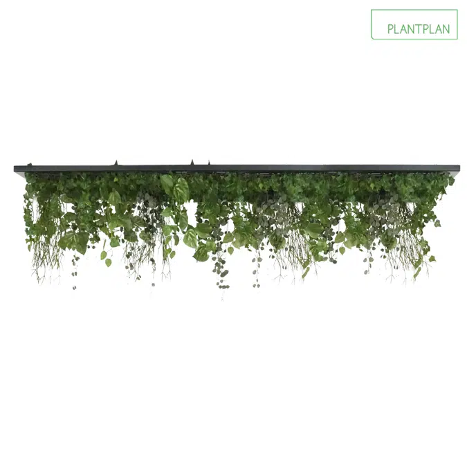 Replica Foliage Ceiling Raft - 2000mm x 1000mm