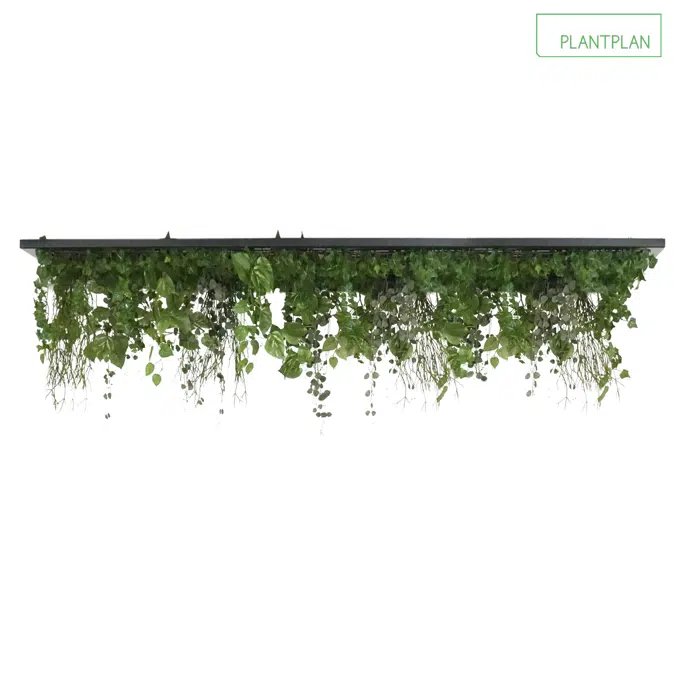 BIM objects - Free download! Replica Foliage Ceiling Raft - 2000mm x ...