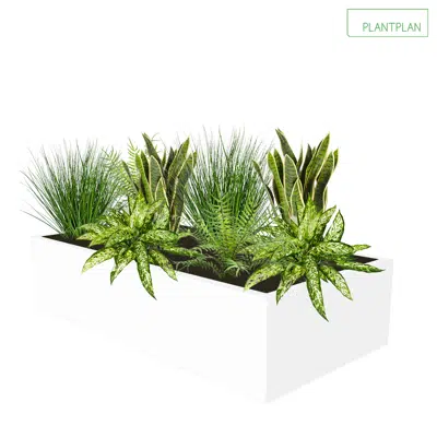 Image for Cabinet Top Trough - Mixed Replica Planting - 800mm x 400mm x 200mm