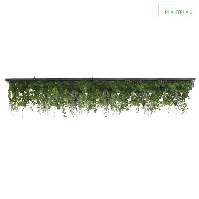 BIM objects - Free download! Replica Foliage Ceiling Raft - 3000mm x ...