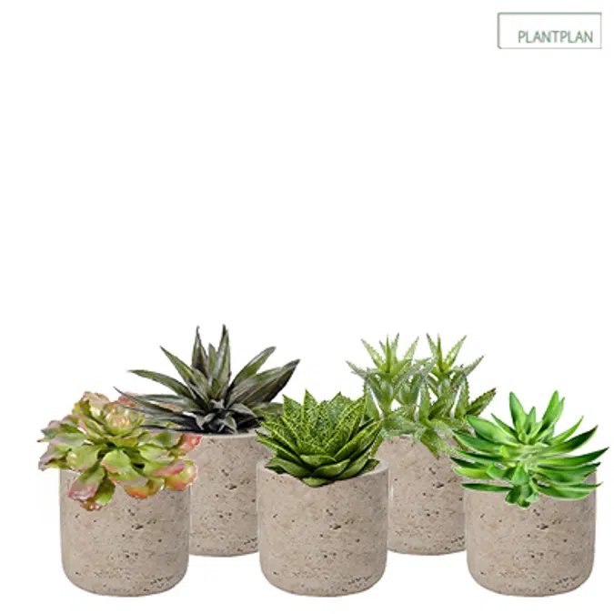 Set of 5 x Grey, Concrete Effect Pots - Replica Succulent Planting - 300mm