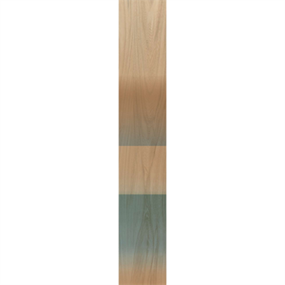 Image pour Fabula JUNGLE 20X120 Wood Effect decorative Tiles MATT