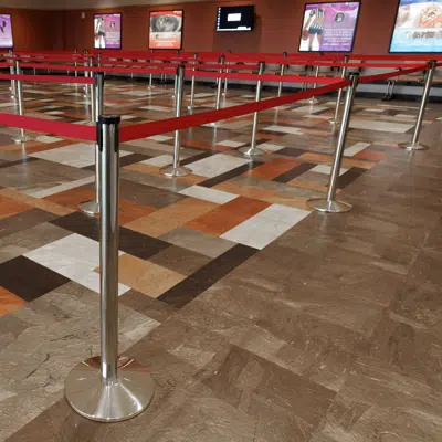 画像 Fully Customizable Premium 10' Belt RETRACTA-BELT® Stanchions