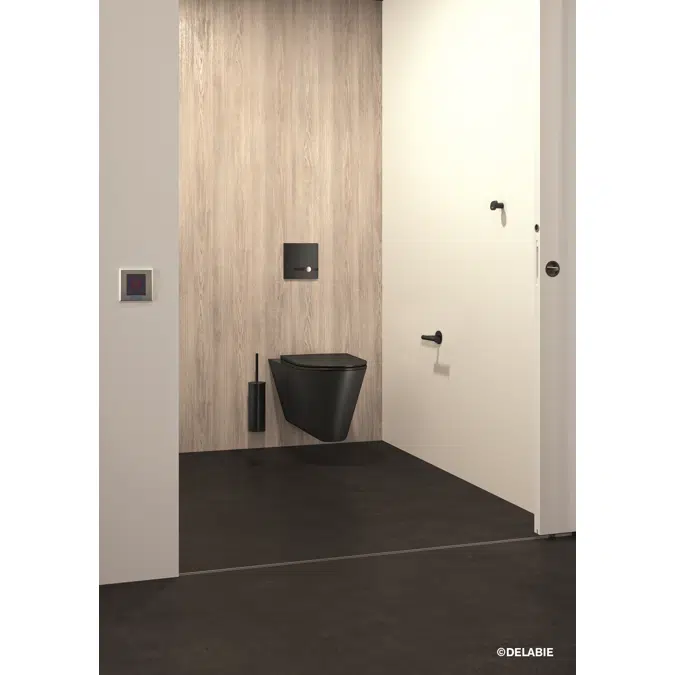 464050 TEMPOMATIC dual control plate for WCs