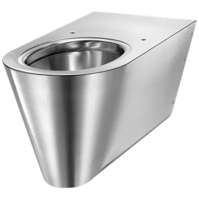 Image for 110710 Wal hung 700 S WC pan for disabled people