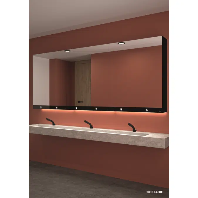 510209 Mirror cabinet with 3 functions