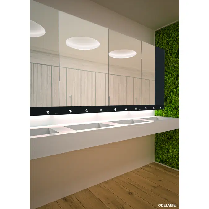 510204 Mirror cabinet with 4 functions