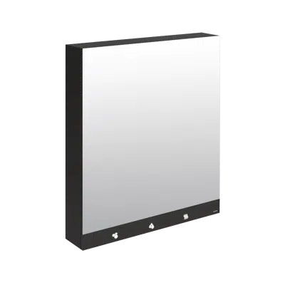 510204 Mirror cabinet with 4 functions