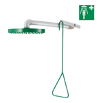 9108 wall-mounted safety shower
