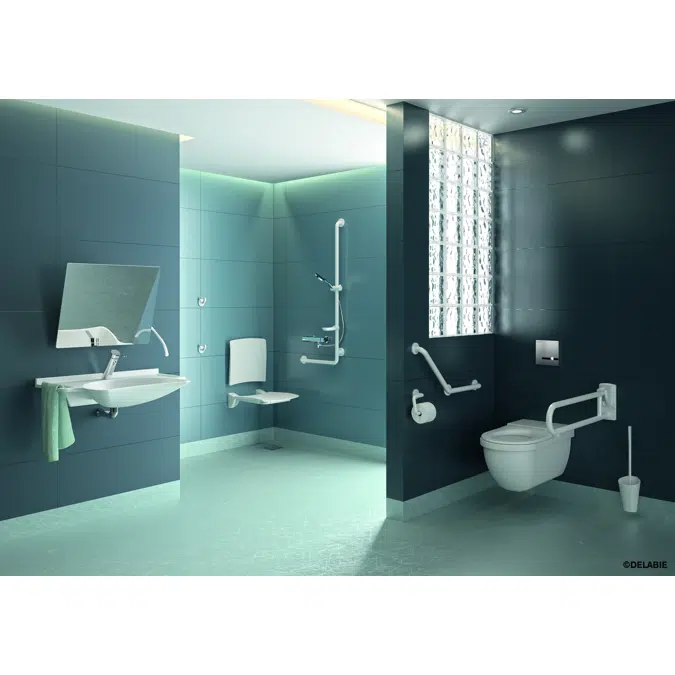 464006 Plaque de commande TEMPOMATIC bicommande pour WC