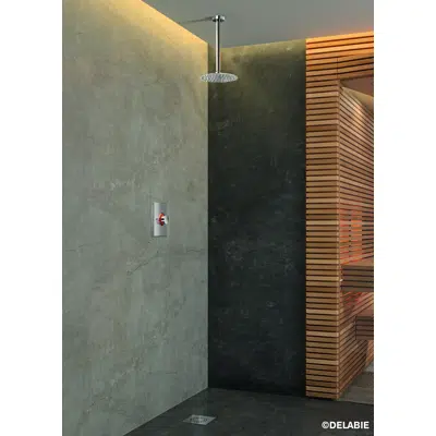 Image pour 708040 Pommeau de douche RAINY