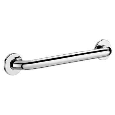 5050P2 Straight stainless steel grab bar, bright, Ø 32mm, 300mm