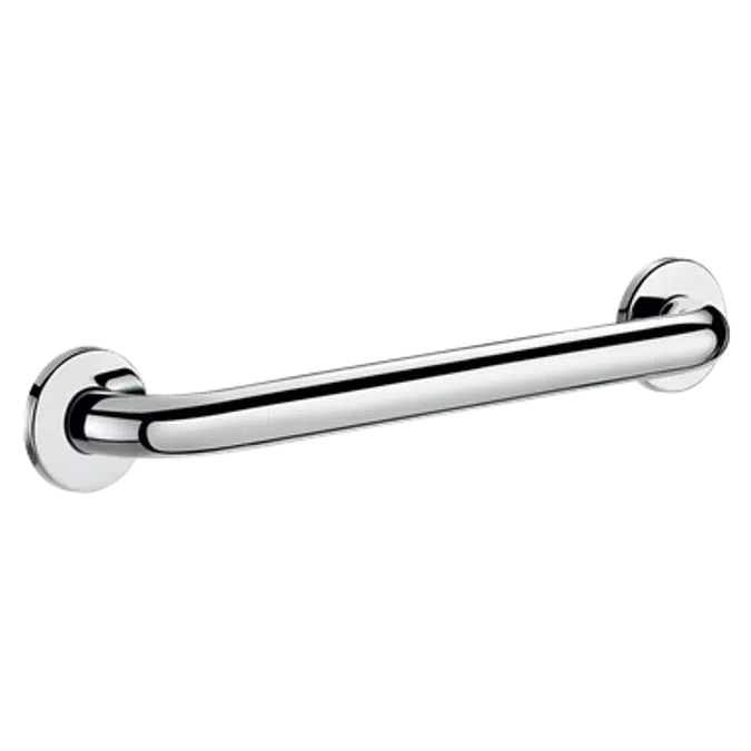 5050P2 
Straight grab bar 300mm 
304 polished stainless steel