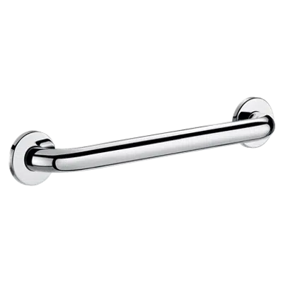 5050P2 
Straight grab bar 300mm 
304 polished stainless steel