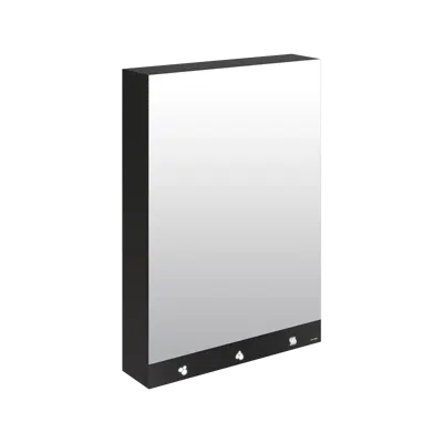 510205 Mirror cabinet with 4 functions