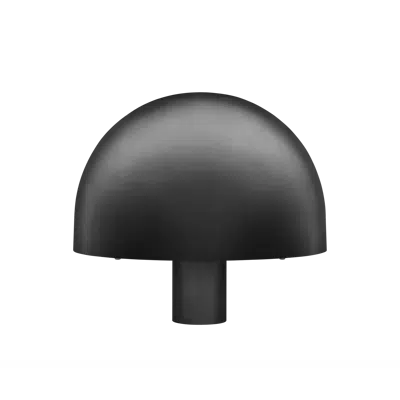 Image for BLACKBIRD Mushroom