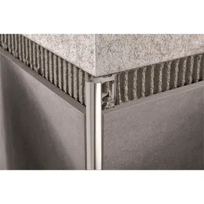 Image for PROJOLLY POLISHED, SUPER POLISHED, SANDED AND SATIN FINISH STAINLESS STEEL AISI 304/1.4301-V2A
