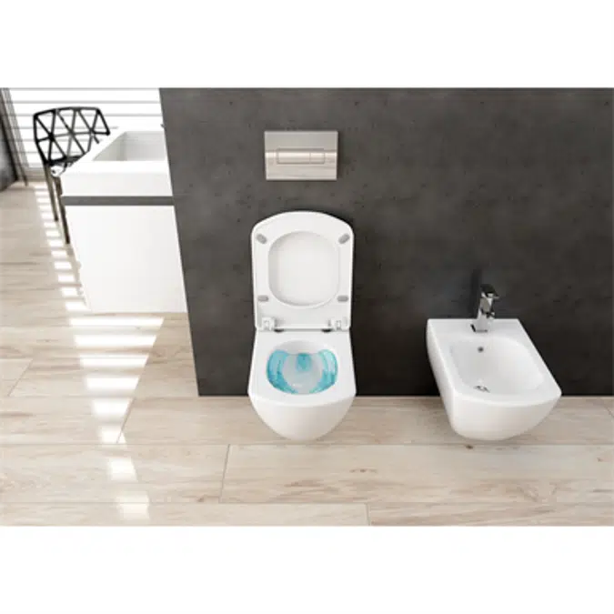 ANEMON ZERO Toilet bowl, wall-mounted, rimless