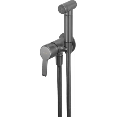 Image for Arnika, Bidet tap, concealed, with bidetta hand shower