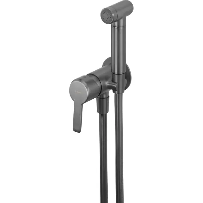 Arnika, Bidet tap, concealed, with bidetta hand shower