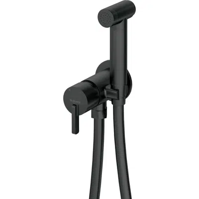 imagen para Silia, Bidet tap concealed with bidetta hand shower