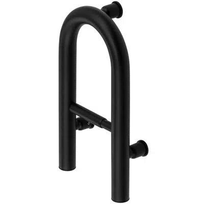 afbeelding voor Vital, Wall-mounted grab bar with space for toilet paper - 2in1