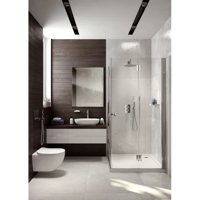 Alpinia, Bidet tap, concealed, with bidetta hand shower