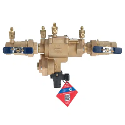 imagen para Reduced Pressure Zone Assemblies - Small Diameter - 860 Small