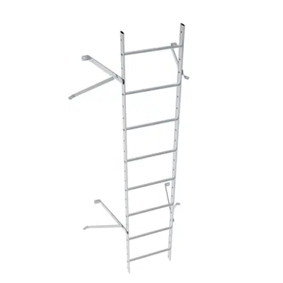 Image for Wall ladder system with 450 offset