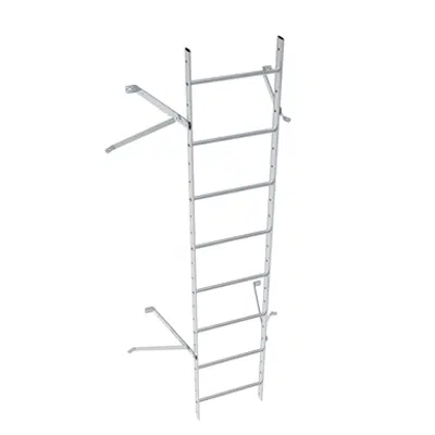 Wall ladder system with 450 offset图像