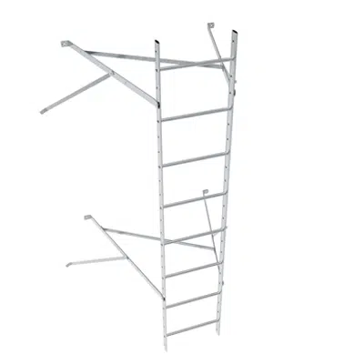 Wall ladder system with 1050 offset