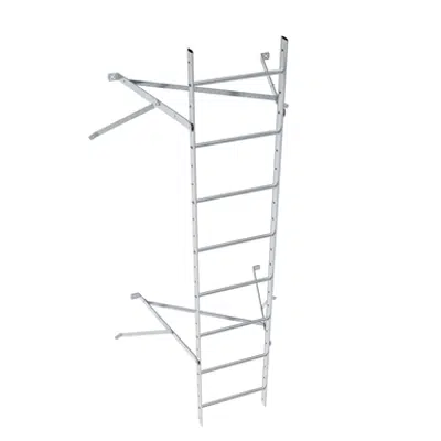 Wall ladder system with 650 offset