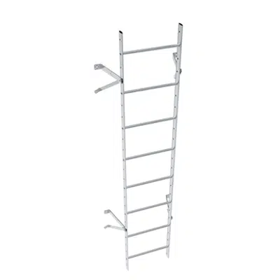 Wall ladder system with 250 offset