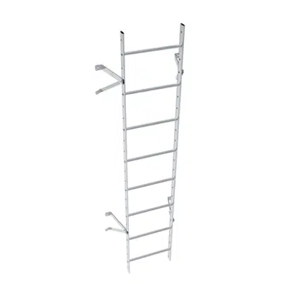 Зображення для Wall ladder system with 250 offset