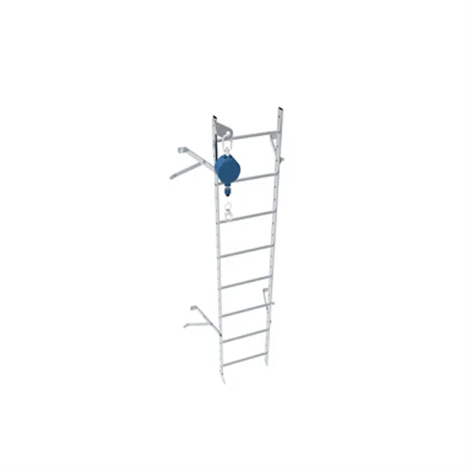 Wall ladder system with 350 offset