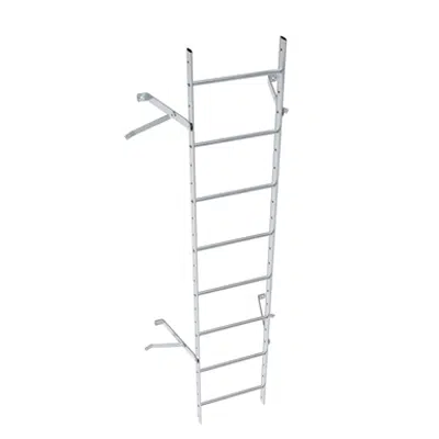 Wall ladder system with 350 offset