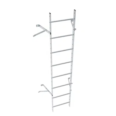 Image pour Wall ladder system with 350 offset