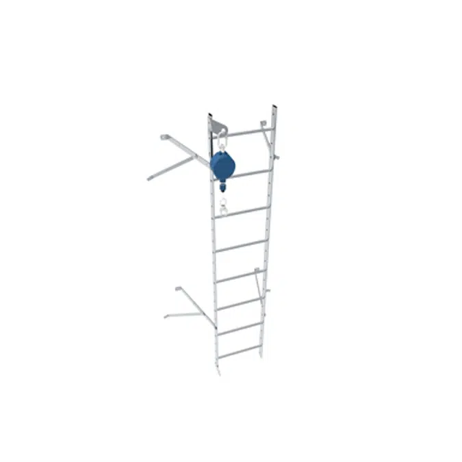 Wall ladder system with 550 offset