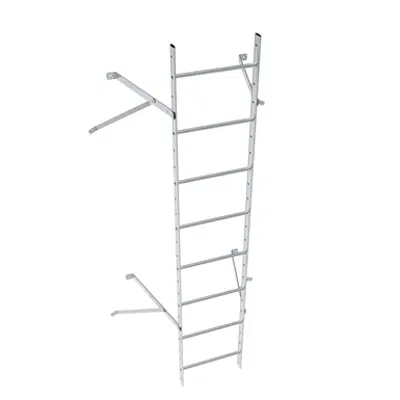 Wall ladder system with 550 offset