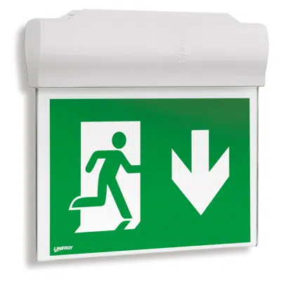 Image for LYRA EVO - Emergency signalling luminaire