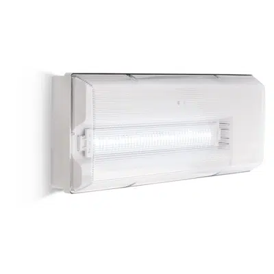 Image for ICETEK - Emergency lighting luminaire