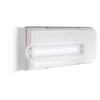 Imagem para ICETEK - Emergency lighting luminaire}