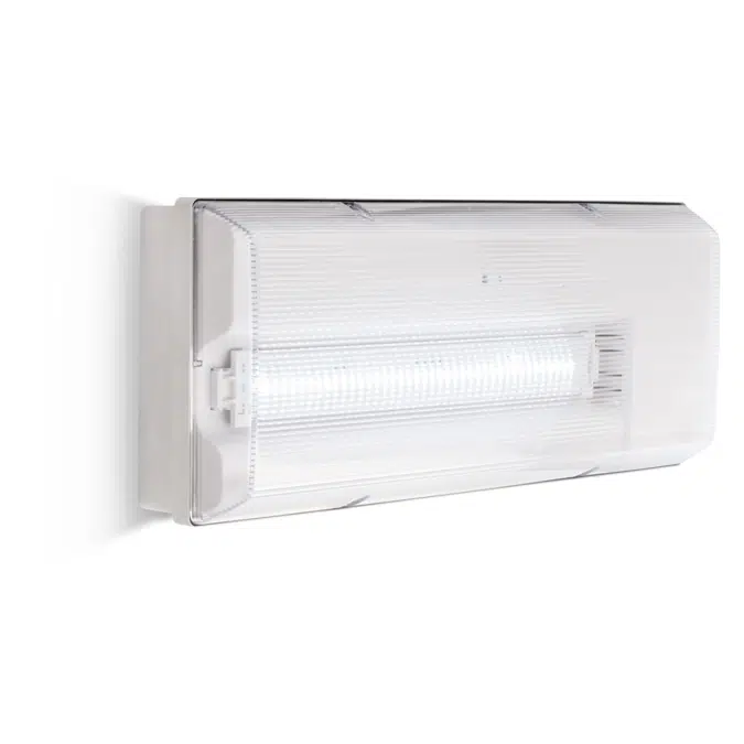 ICETEK - Emergency lighting luminaire