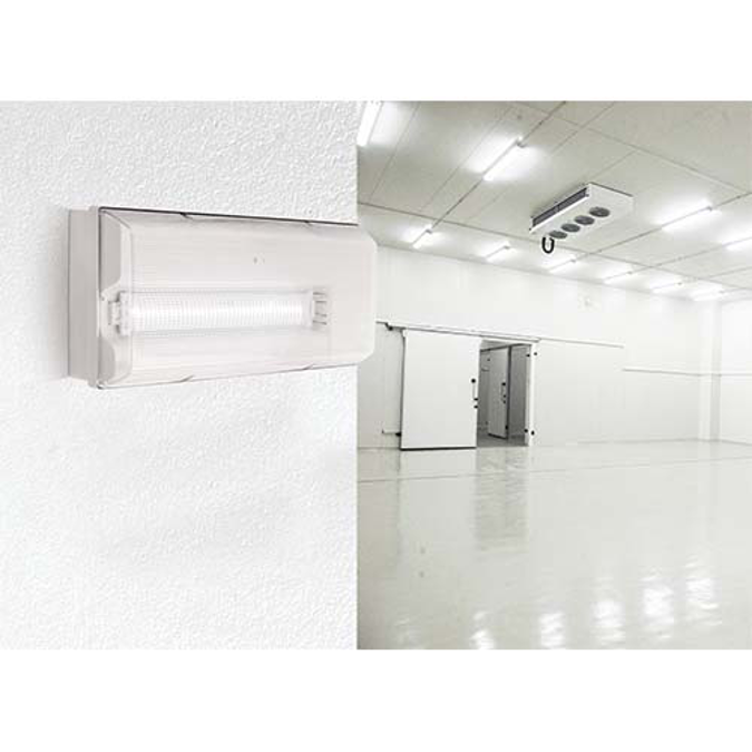 ICETEK - Emergency lighting luminaire